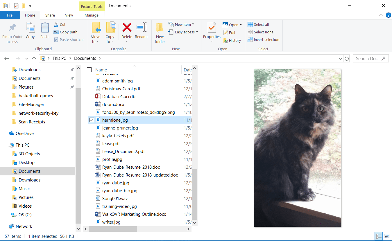 Een screenshot van de Windows 10 Verkenner