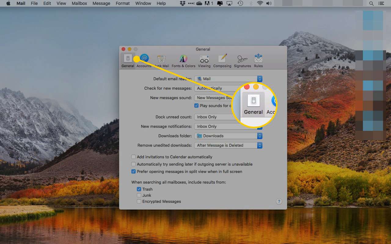 macOS X Mail-voorkeuren met het tabblad Algemeen gemarkeerd