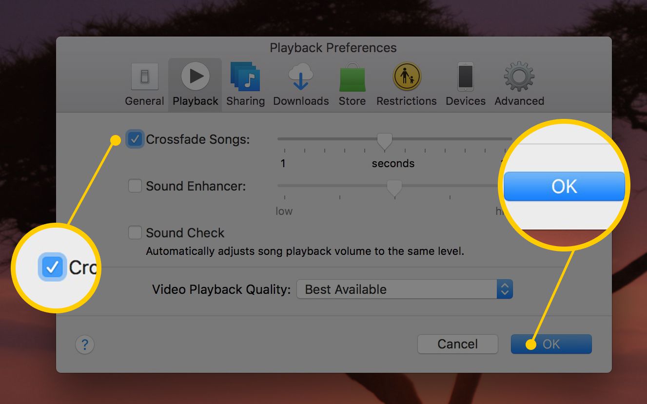 Schermafbeelding van het venster Afspeelvoorkeuren in iTunes voor Mac, met het selectievakje Crossfade-nummers en de knop OK