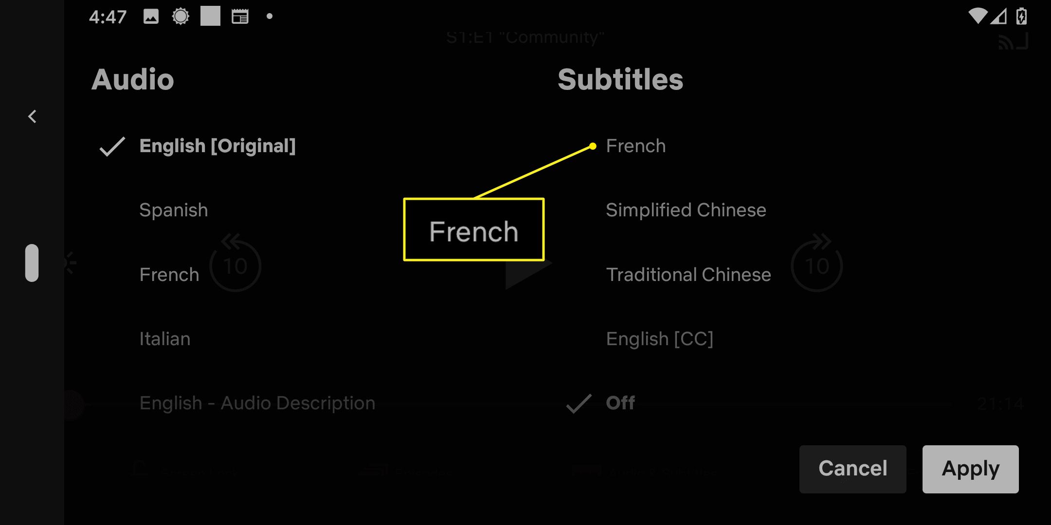 Ondertitelingsopties in de Netflix-app met Frans gemarkeerd.