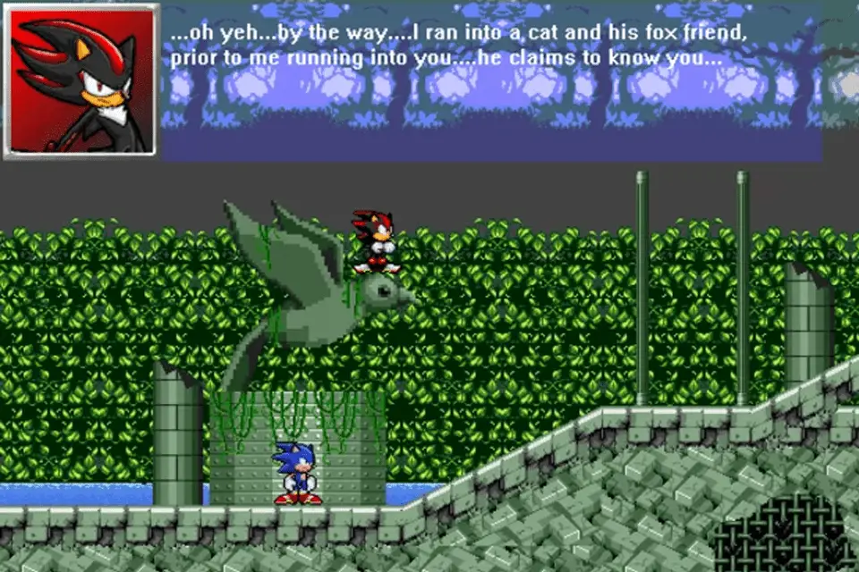 Schermopname van Sonic en Shadow the Hedgehogs die door een landschap racen.