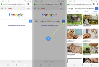 Hoe Een Omgekeerde Afbeelding Te Zoeken Op Iphone Of Android 2022