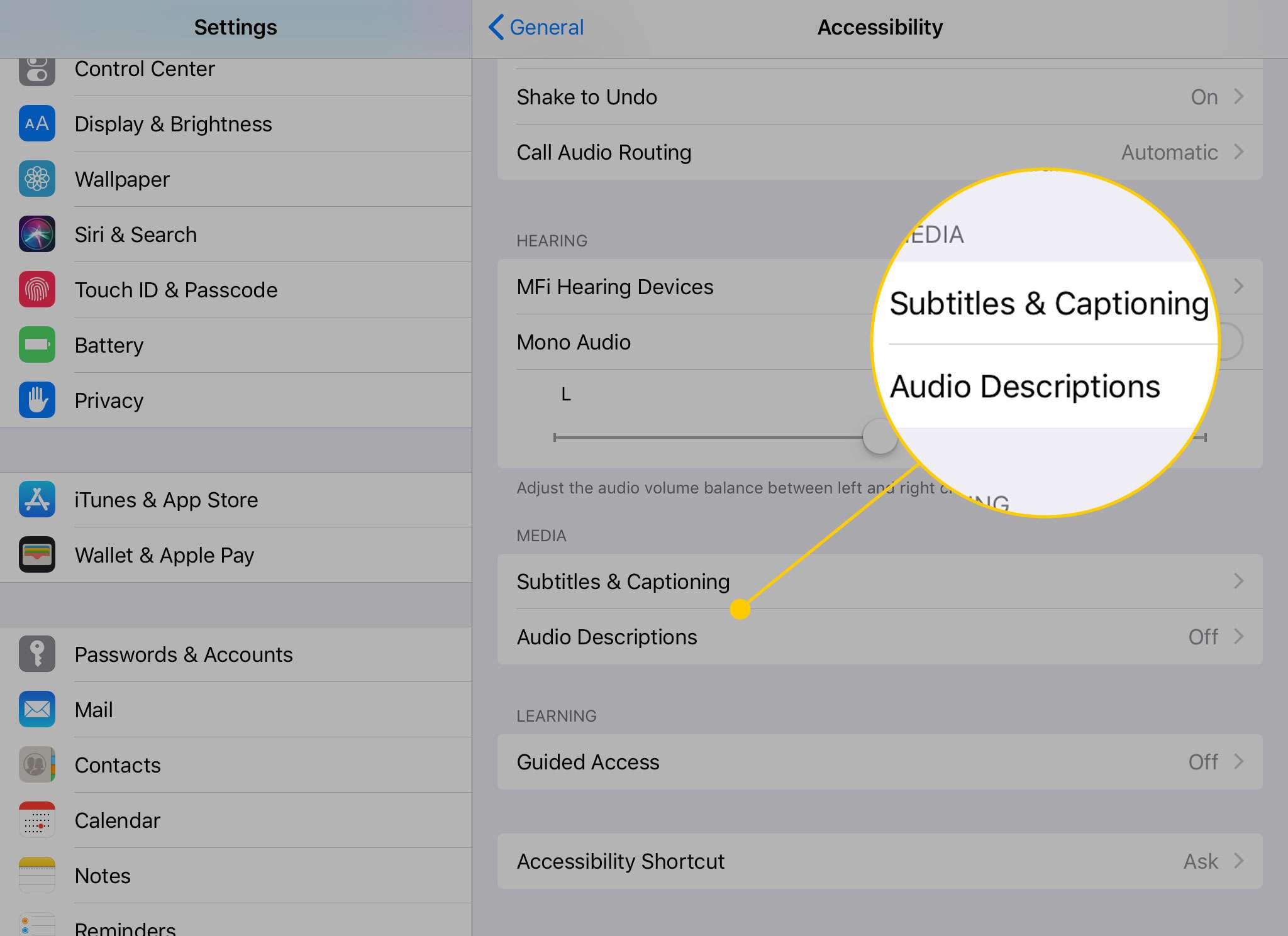 Toegankelijkheidsopties op de iPad met de kopjes Ondertitels & Bijschriften en Audiobeschrijvingen gemarkeerd