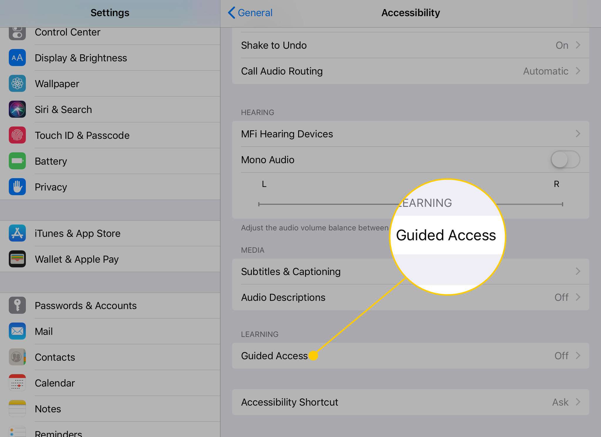 iPad Toegankelijkheidsopties met de titel Begeleide toegang gemarkeerd