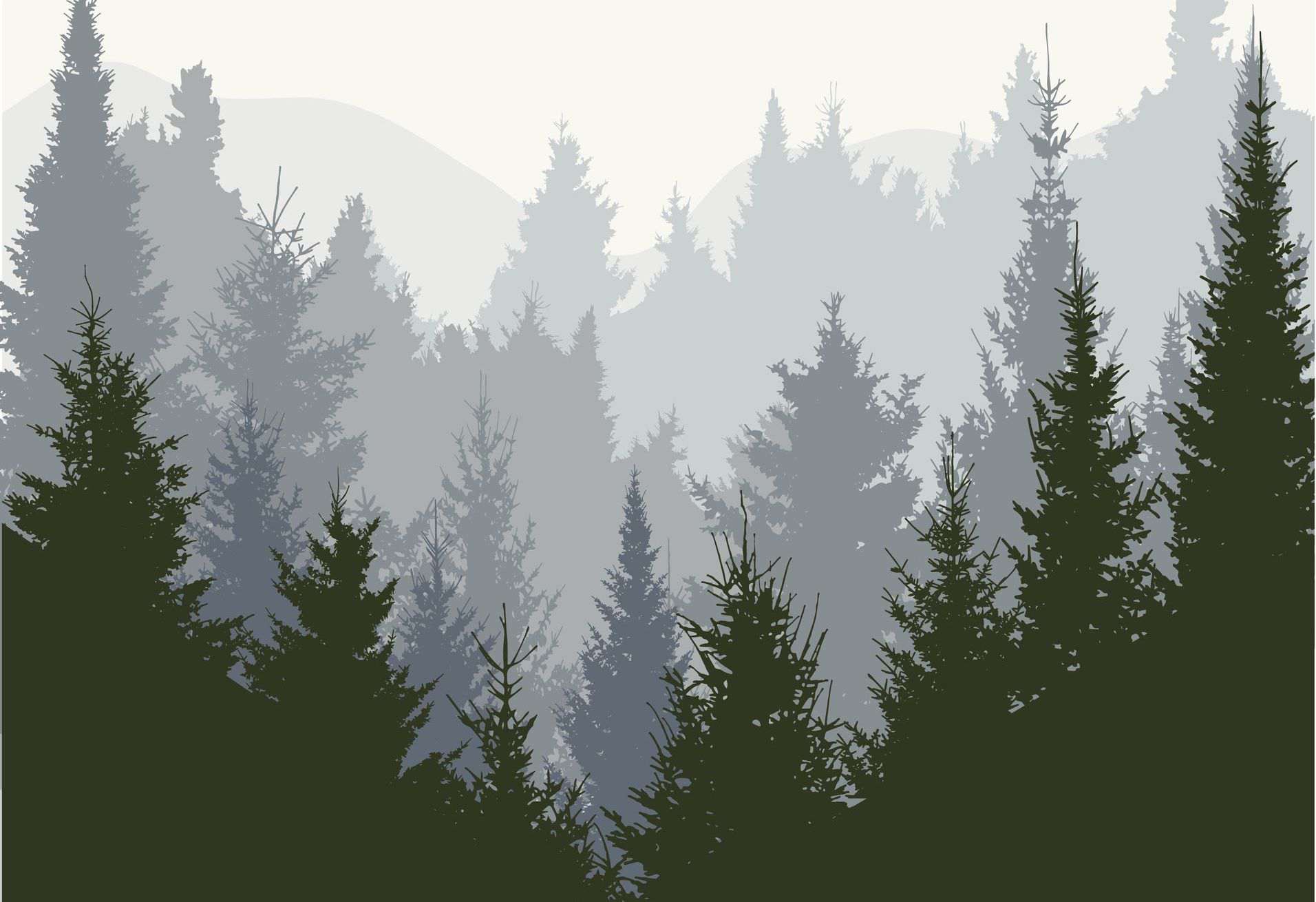 Illustratie van een bos