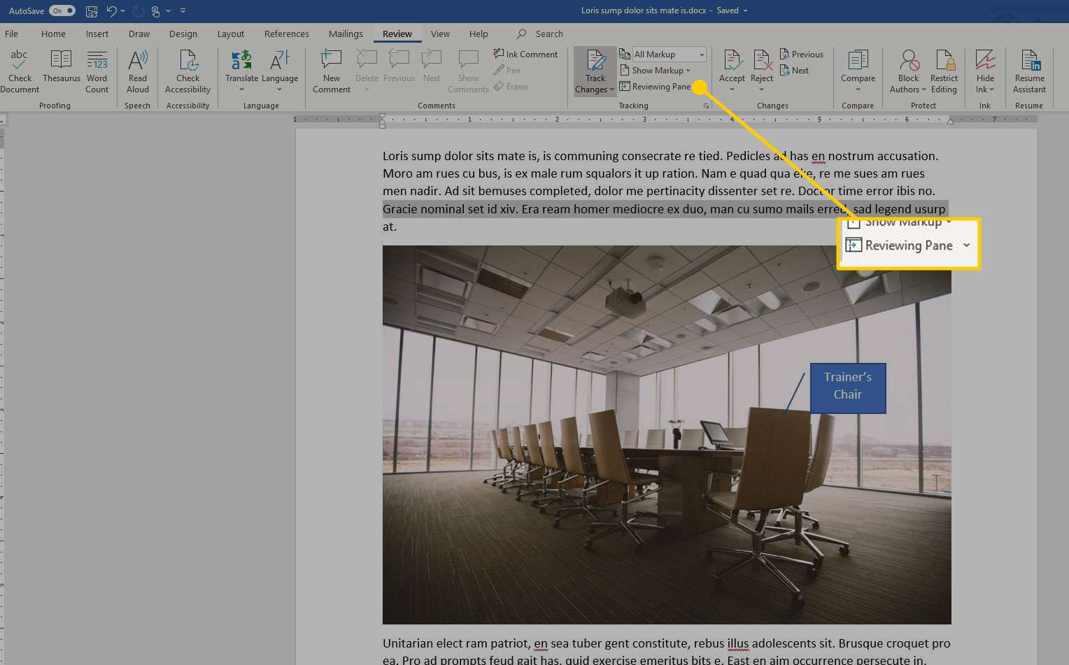 Microsoft Word met de optie Revisievenster gemarkeerd