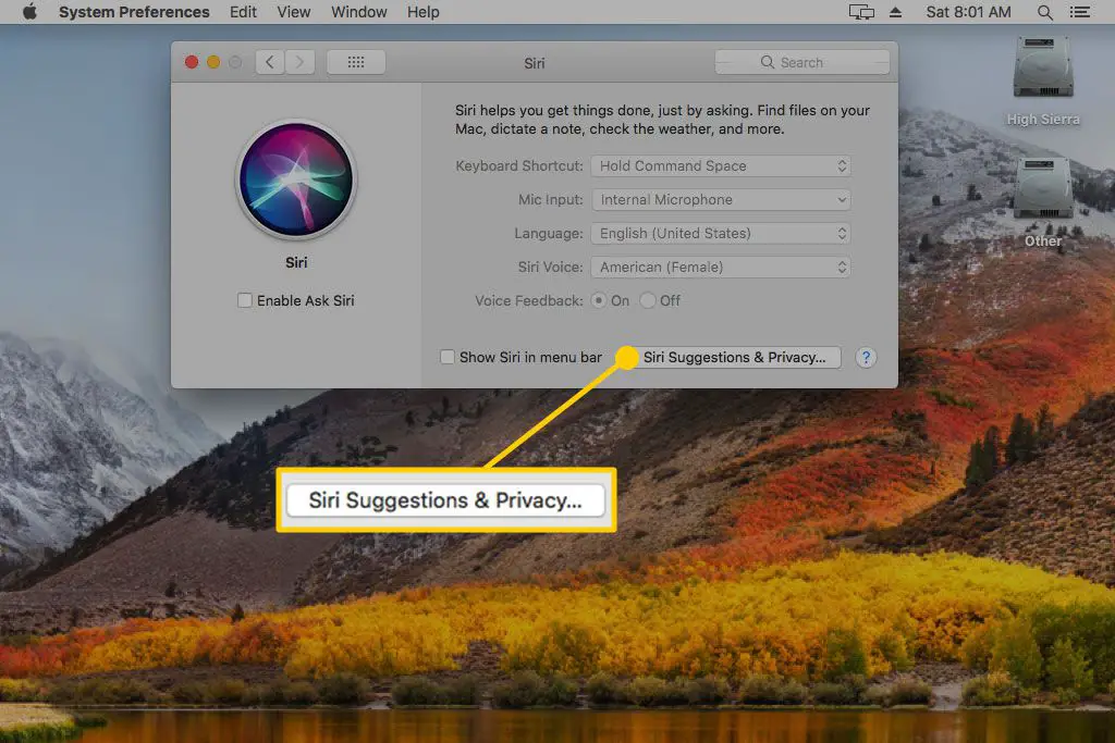Siri-suggesties en privacy in Siri-instellingen op een Mac