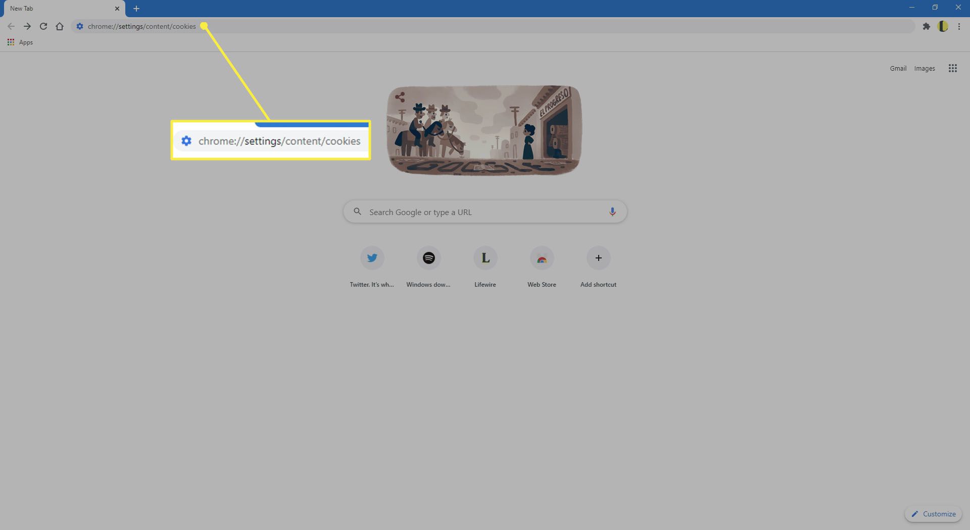 Voer chrome://settings/content/cookies in de Chrome-adresbalk in.