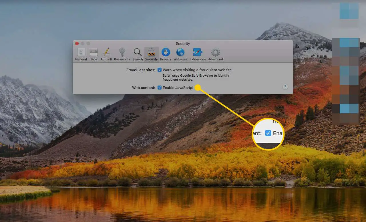 Beveiligingsvoorkeuren in Safari met het vakje JavaScript inschakelen gemarkeerd