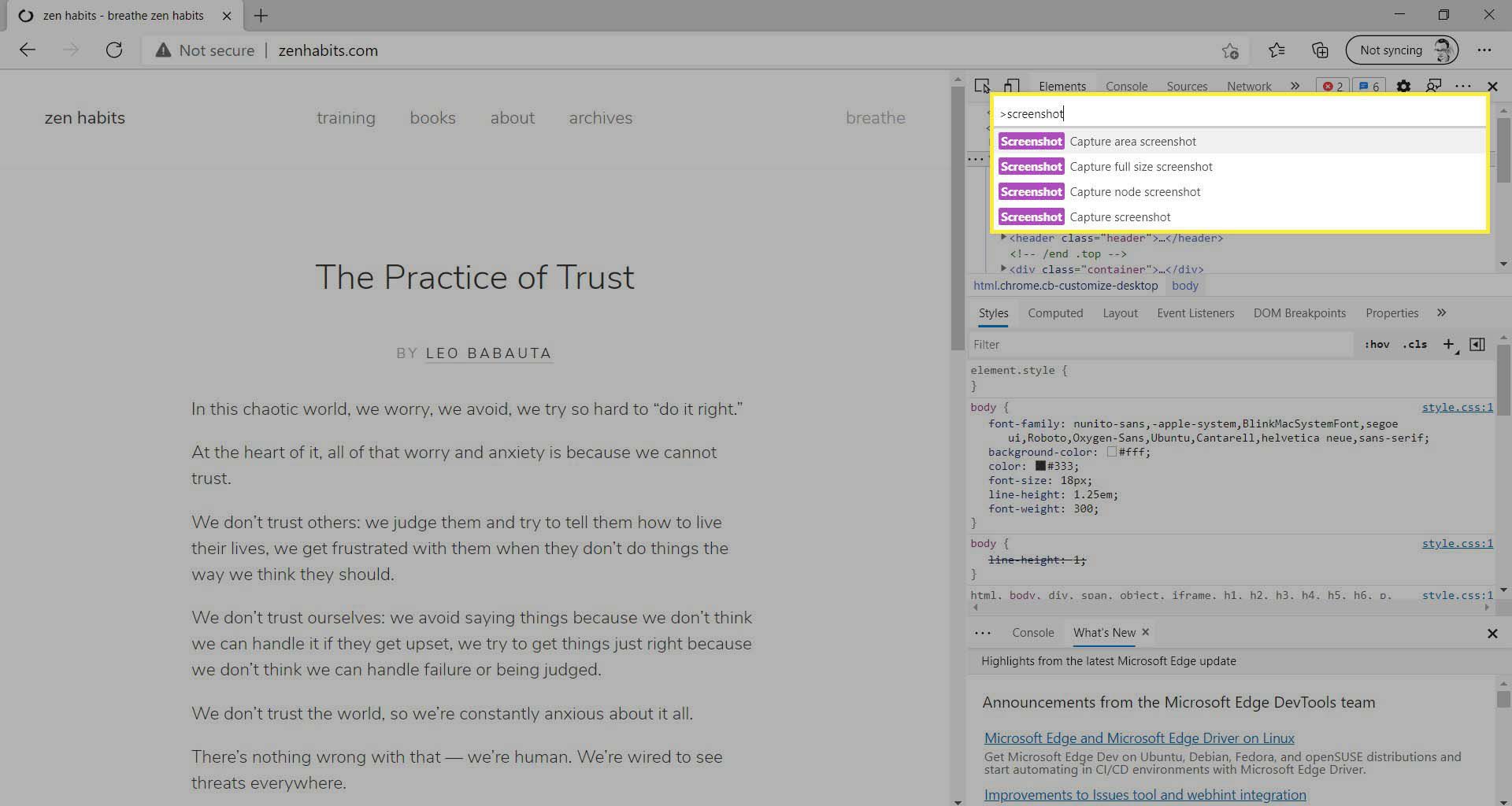 De screenshot-opties in het gedeelte met ontwikkelaarstools van Microsoft Edge.