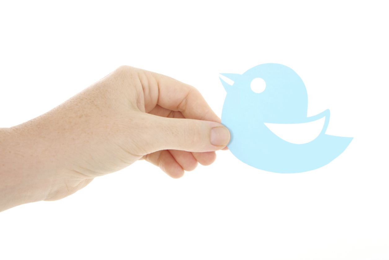 Hand met logo dat eruitziet als de blauwe vogel van Twitter.
