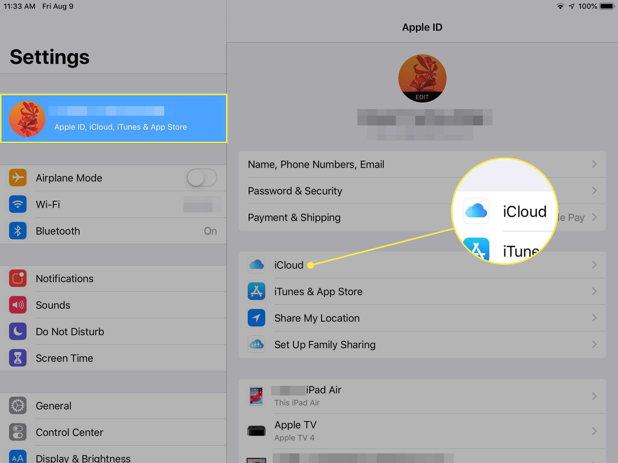 Een screenshot van iPad-instellingen met de kop Apple ID en iCloud gemarkeerd