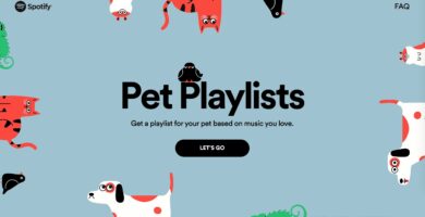 Spotify wil dat je afspeellijsten maakt voor je huisdieren 37 ScreenShot2020 01 15at8.20.38AM 04e57675488040e39d9e52ceeee395c0
