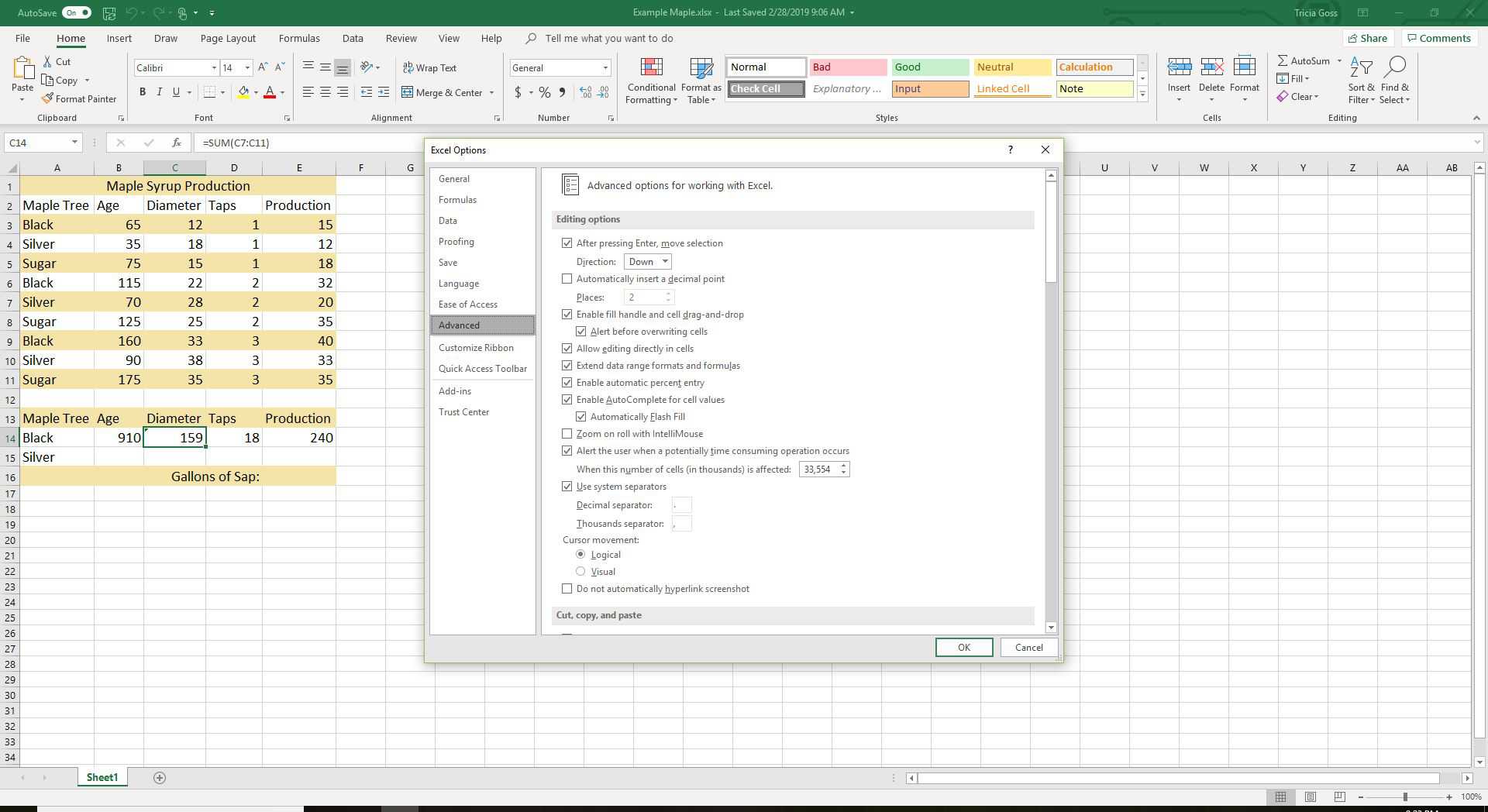 Schermafbeelding van het tabblad Geavanceerd van het venster Excel-opties