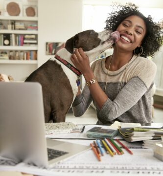 dog licking face of female interior designer working at home office desk 746034359 5c03449fc9e77c00015c1252