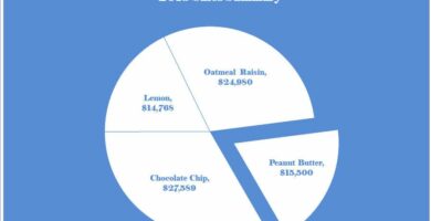 excel 2010 pie chart 1 56a8f8505f9b58b7d0f6d143