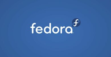 fedora c5d881329a5d486d97f8fb07757cab4b