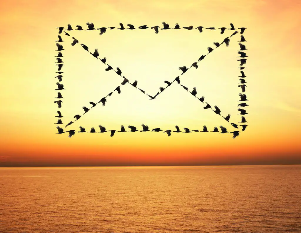 flock of birds flying in email envelope formation 83461799 5737707a5f9b58723d4e3844