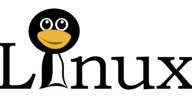 linux 151619 5bf105a646e0fb005117ba99