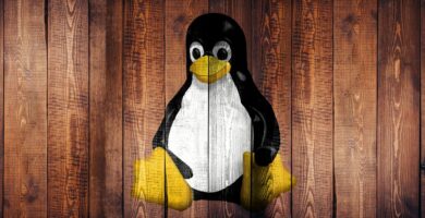 linux 1962898 1280 5c3e12b446e0fb000188e7fb