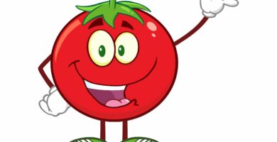 tomatovectorguy 9be92cbcf9044bffac8067c6519d74e5