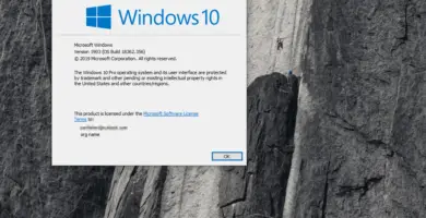 windows 10 winver c406b6b901024b5fa53e68e229030158