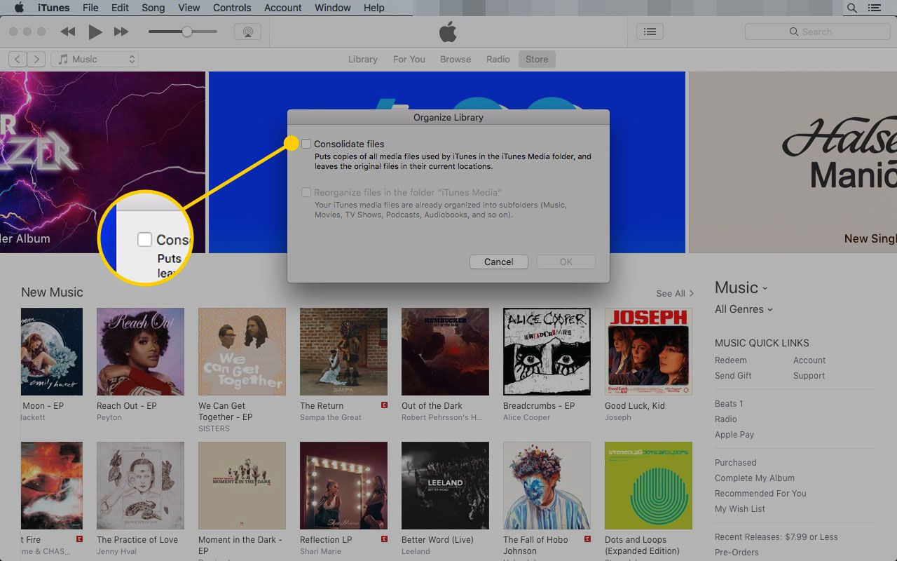 Venster Bibliotheek organiseren in iTunes met het vak Bestanden consolideren gemarkeerd