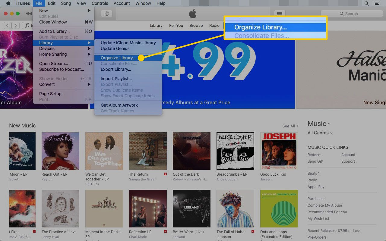 iTunes op een Mac met de optie Bibliotheek organiseren gemarkeerd