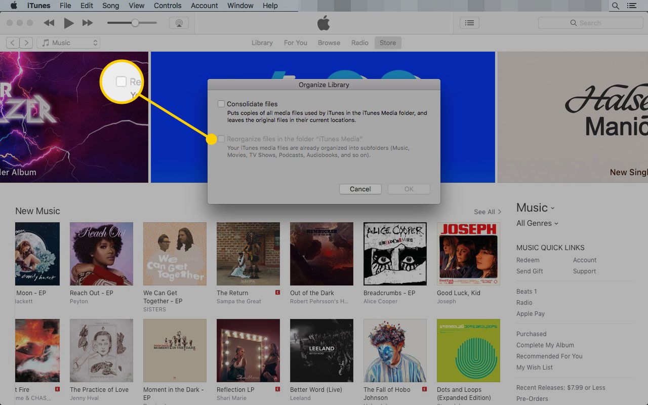 Organiseer het bibliotheekvenster in iTunes met het vakje "Bestanden reorganiseren" gemarkeerd