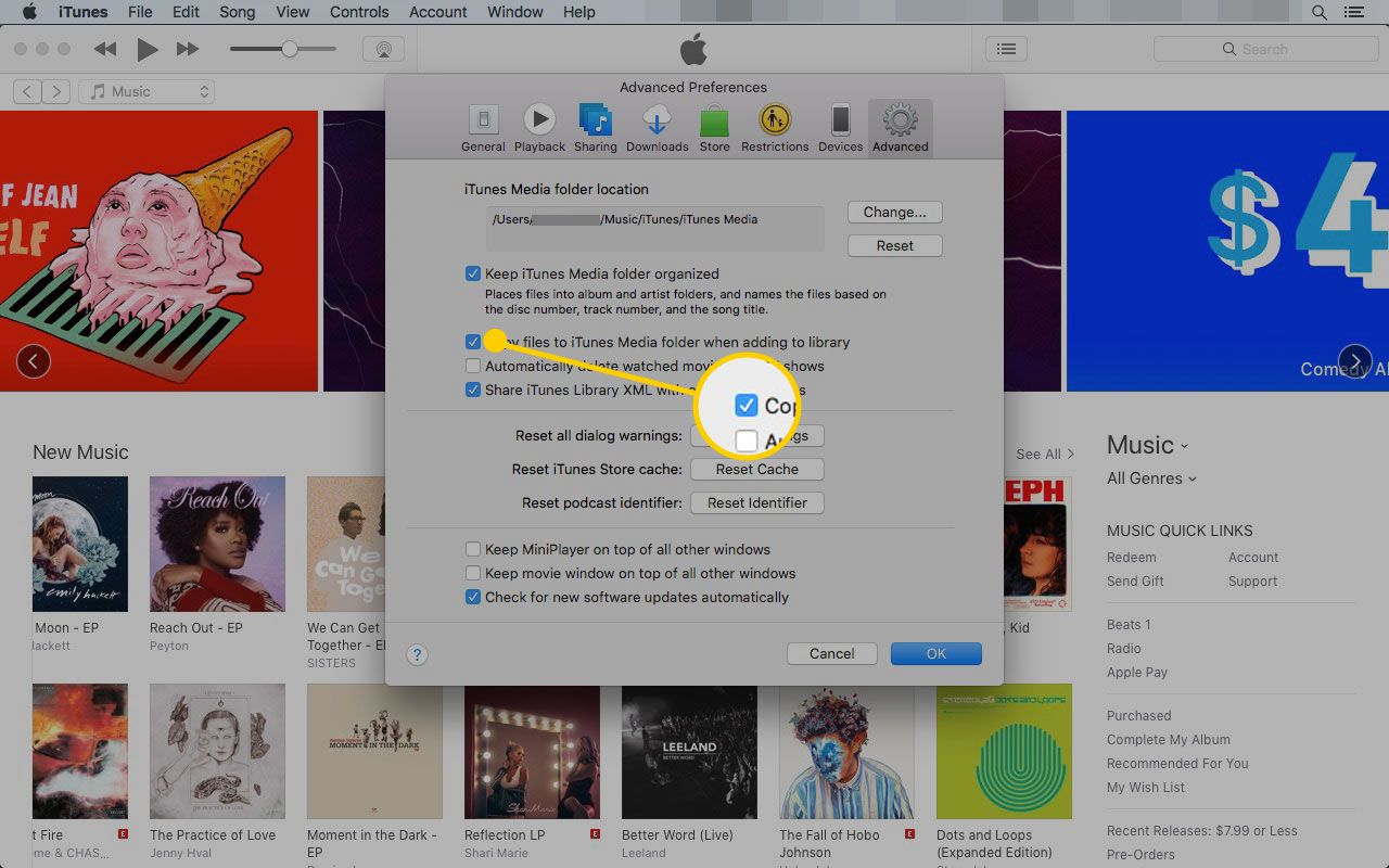 Geavanceerde iTunes-voorkeuren met het vakje "Bestanden naar iTunes-map kopiëren" gemarkeerd