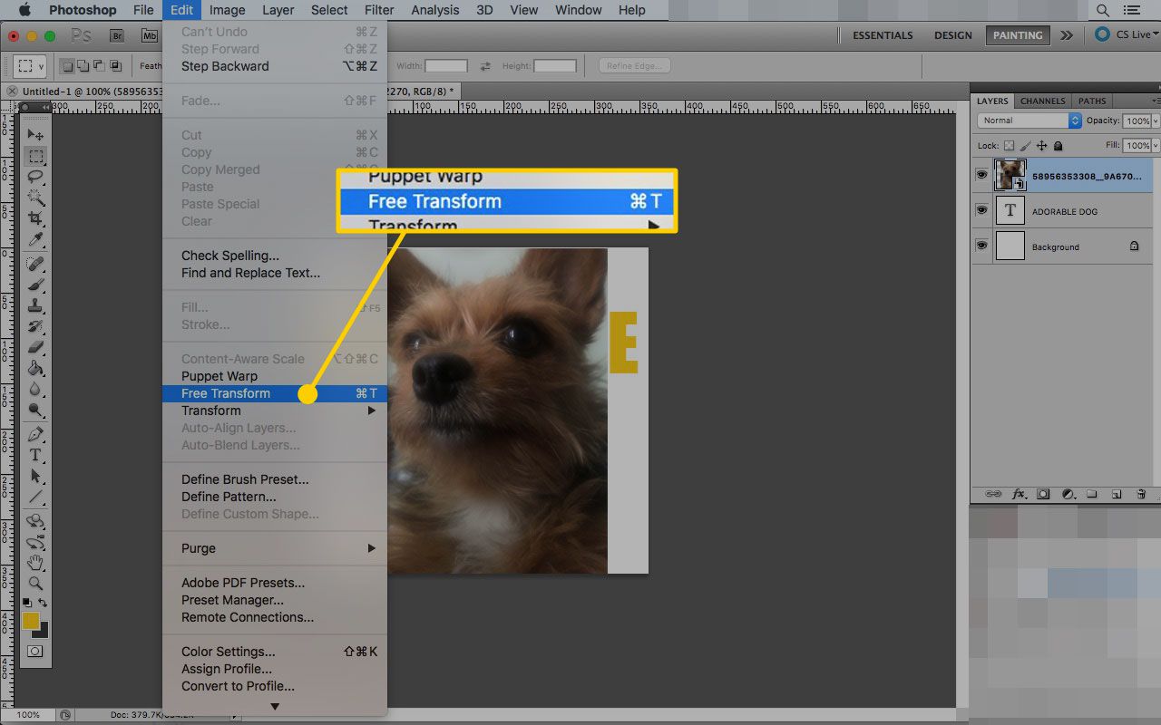 Photoshop op een Mac met de opdracht Vrije transformatie gemarkeerd