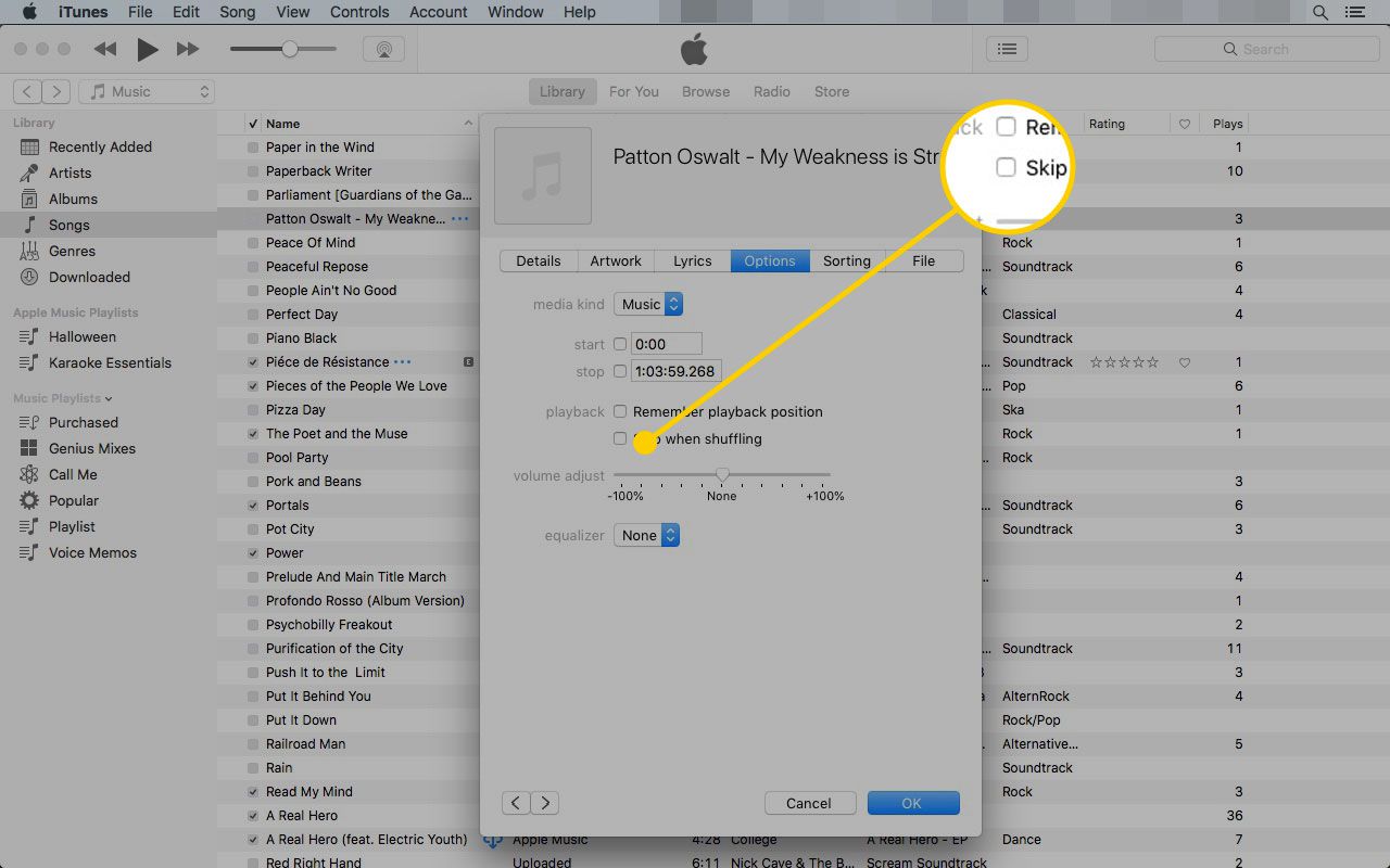 Tabblad Opties in het menu Nummerinfo in iTunes met het vakje "Overslaan bij shuffelen" gemarkeerd