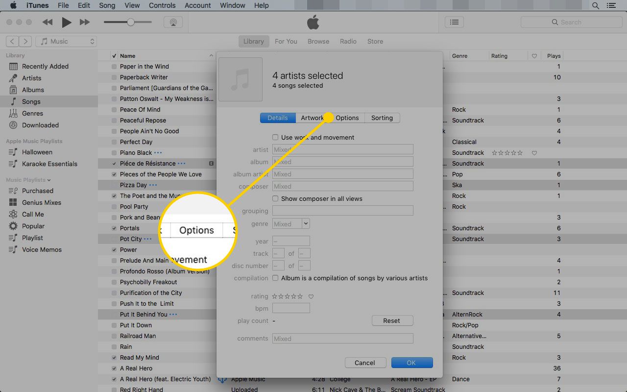 Tabblad Opties in het menu Info ophalen van iTunes