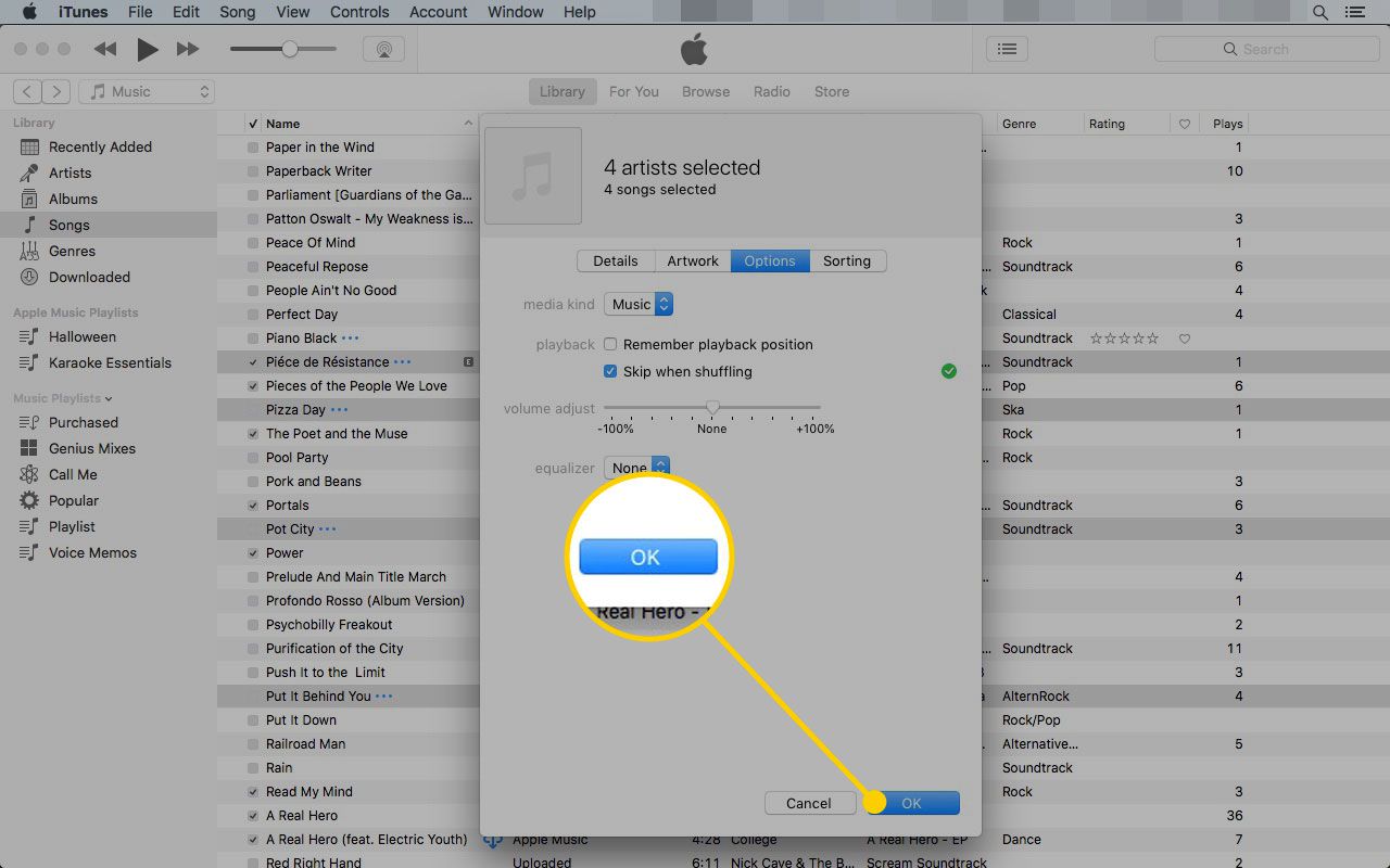 Tabblad Opties in iTunes' Infovenster ophalen met de knop OK gemarkeerd