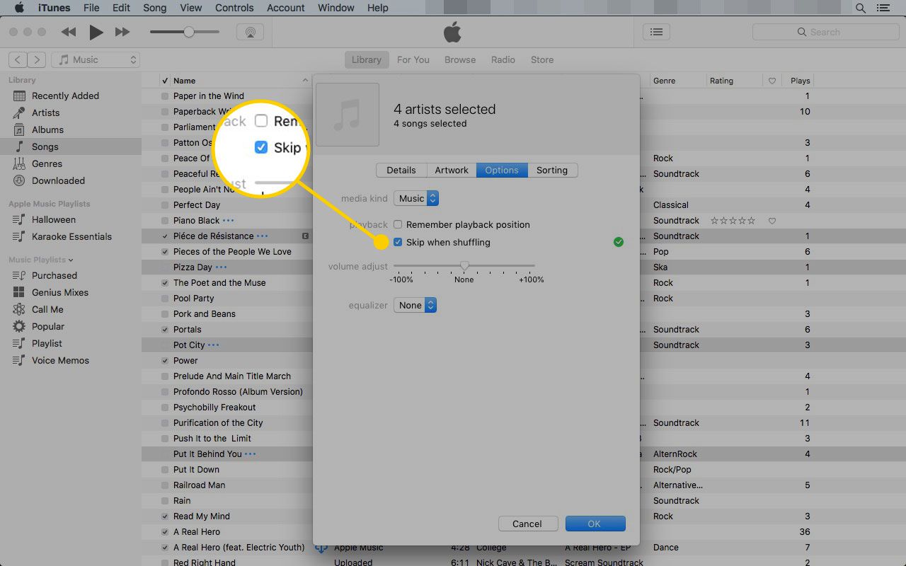 Ontvang Info-venster in iTunes met het vakje "Overslaan bij shuffelen" gemarkeerd
