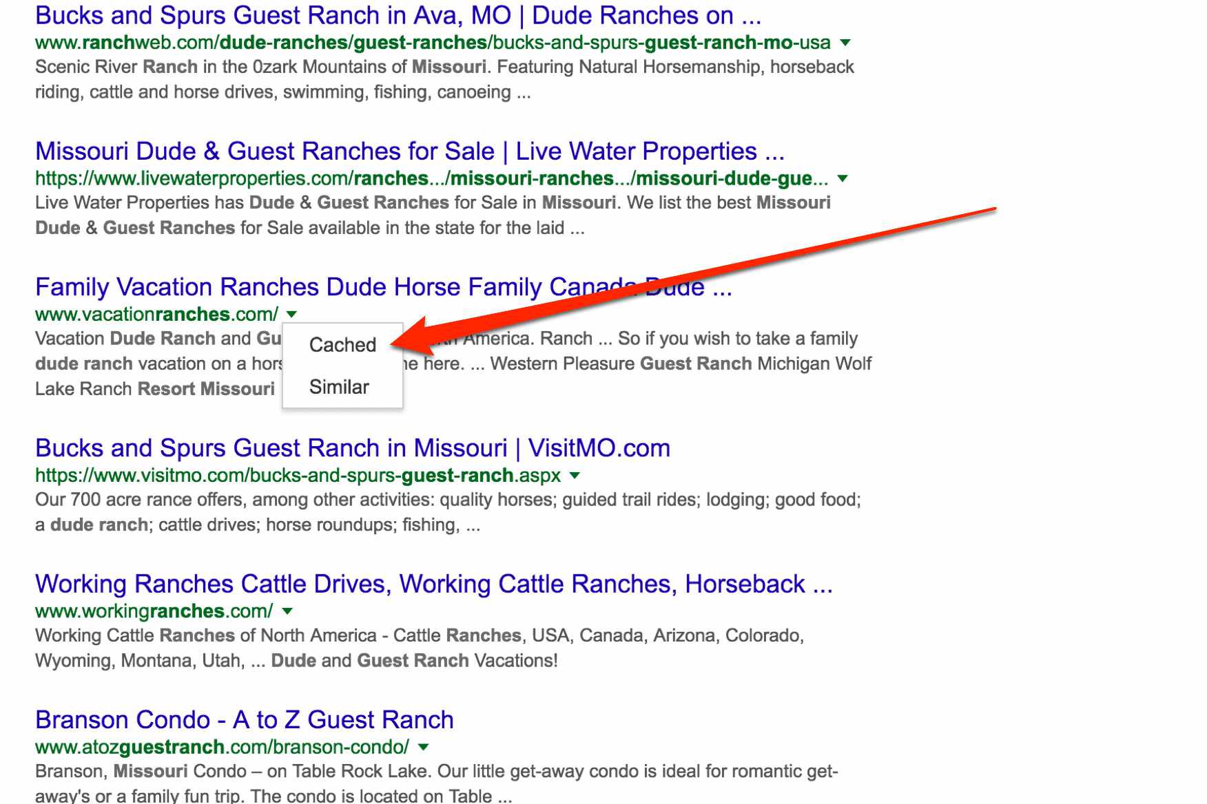 Google resultaten voor dude ranch