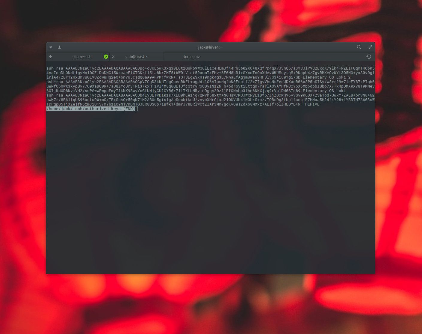 Screenshot van het bestand Authorized_keys gevonden op Linux.