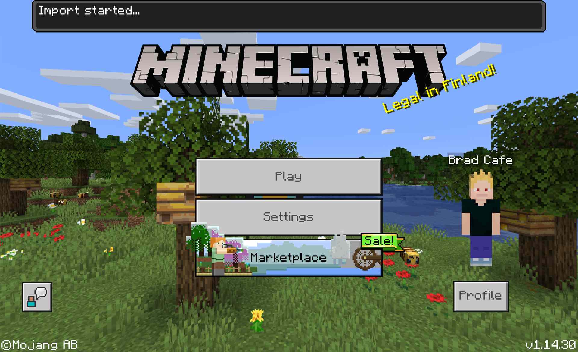 Minecraft voor Windows 10 videogame.
