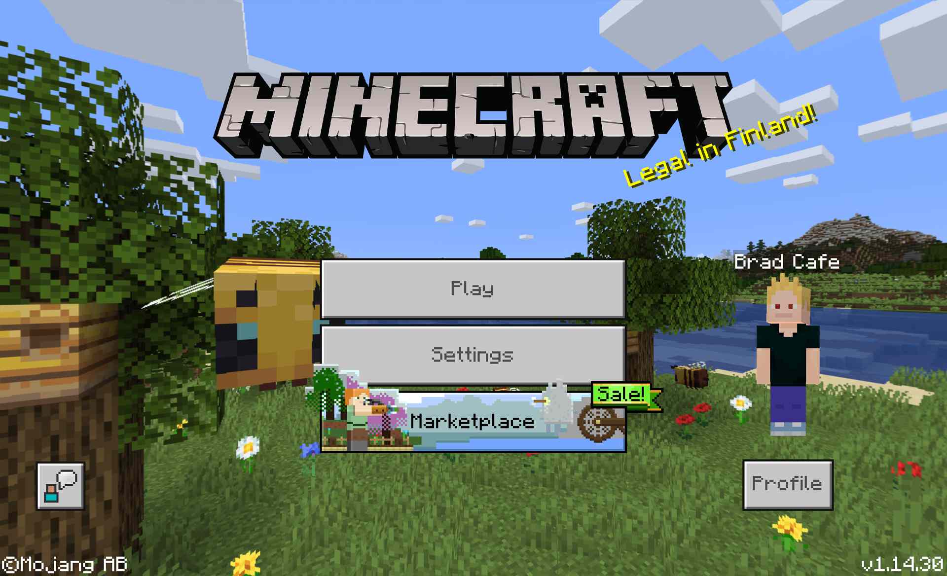 Minecraft voor Windows 10 videogame.