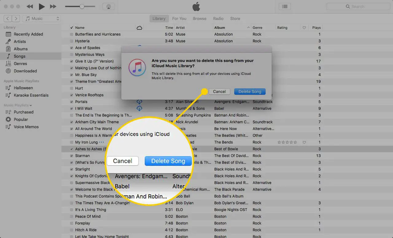 Opties voor een nummer verwijderen in iTunes