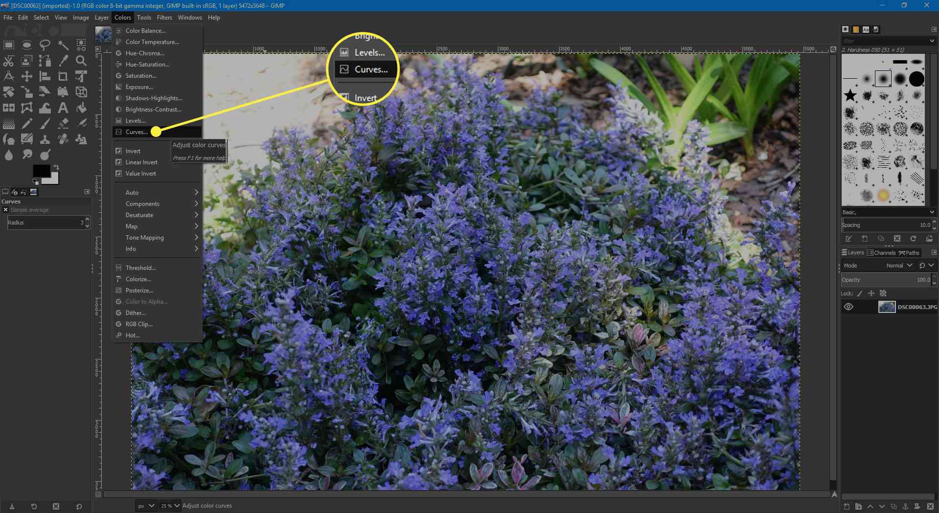 Een screenshot van GIMP met de optie Curves onder het menu Kleuren gemarkeerd