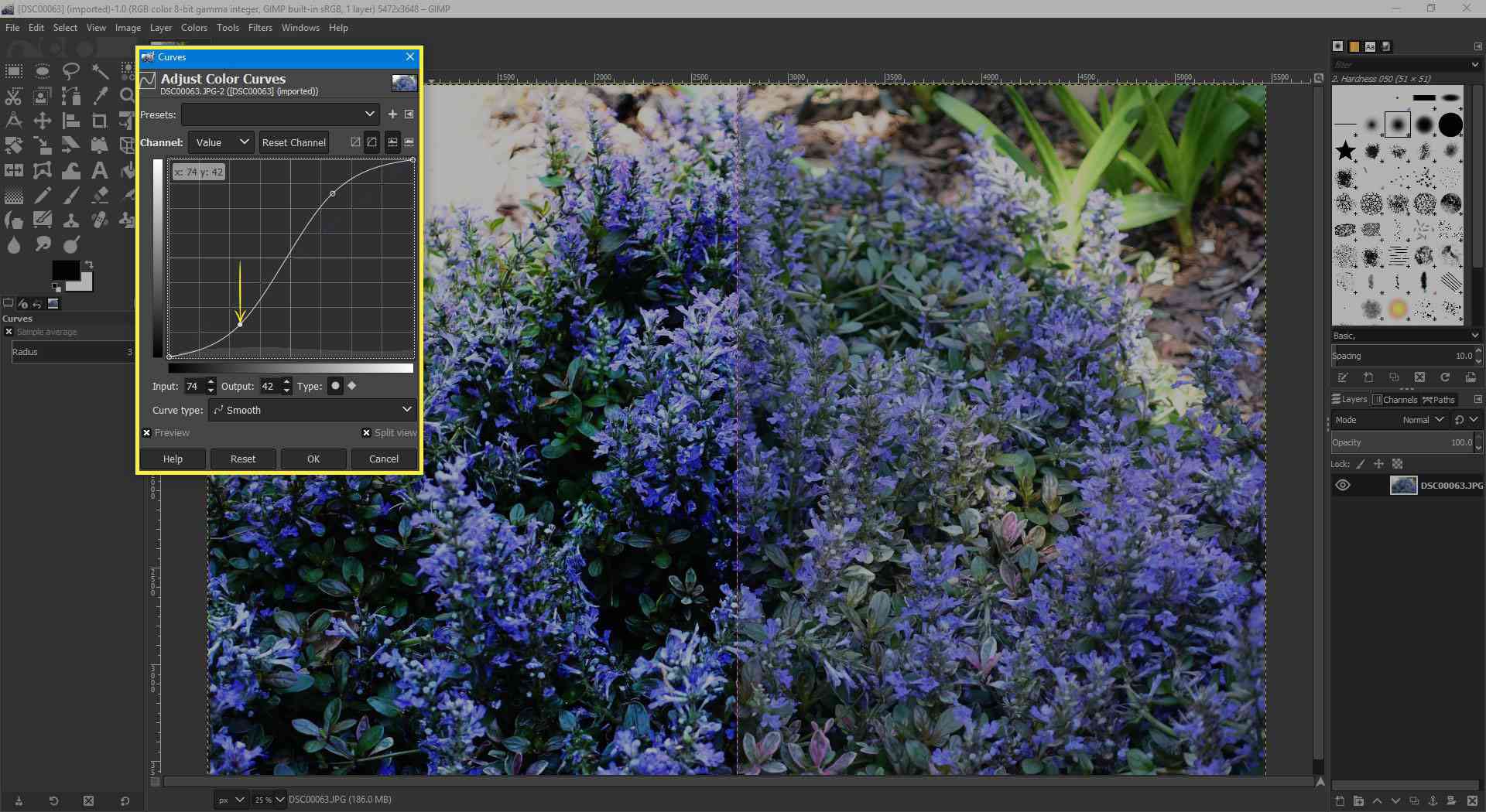 Een screenshot van GIMP met het Curves-venster gemarkeerd