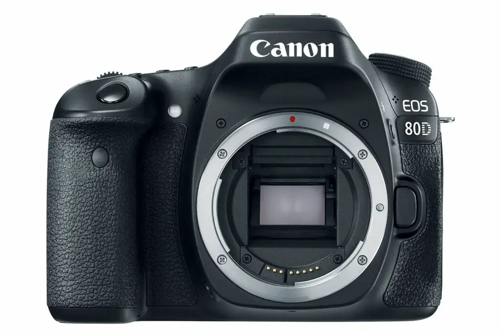 Canon D80 review 57d805ad5f9b589b0a87ec8c 5c7d71c246e0fb0001edc8b2