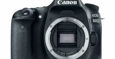 Canon D80 review 57d805ad5f9b589b0a87ec8c 5c7d71c246e0fb0001edc8b2