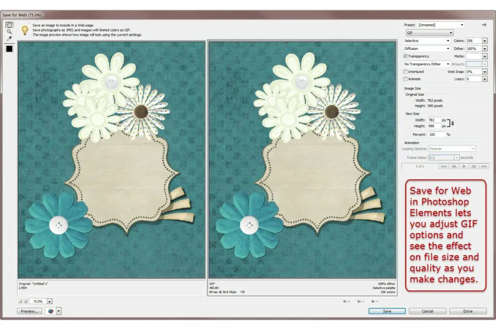Hoe de GIF-bestandsgrootte te verkleinen voor betere websiteprestaties 1 saveasgifopotionsinphotoshopelements 74a13d51a7e24c6997bf972ce74537b5
