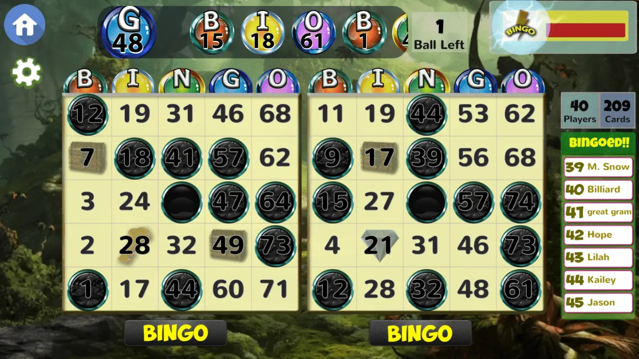 Screenshot van het spelen van Blackout Bingo