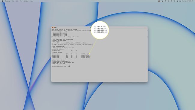 IP-informatie weergegeven in Terminal op macOS.