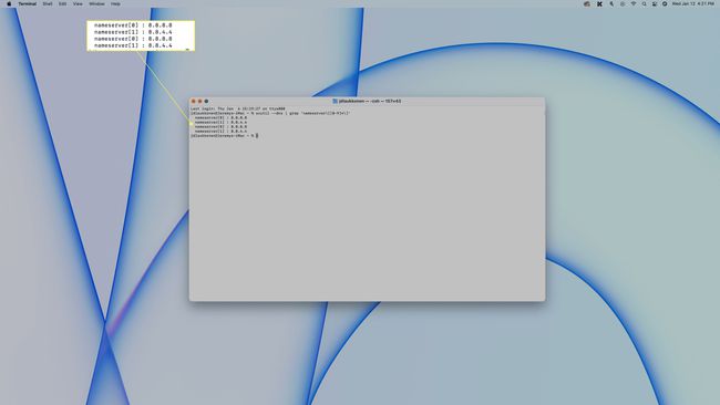 DNS-informatie weergegeven in Terminal op macOS.