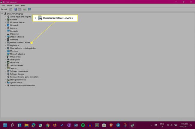 Windows 11 Apparaatbeheer met Human Interface Devices gemarkeerd