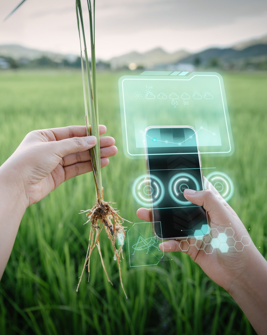 Landarbeider die slimme telefoon gebruikt met Virtual Reality Artificial Intelligence (AI) voor het analyseren van plantenziekten